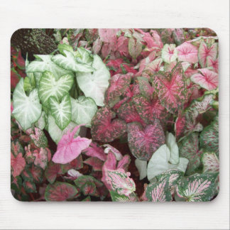 Mixed Caladiums Mouse Pad