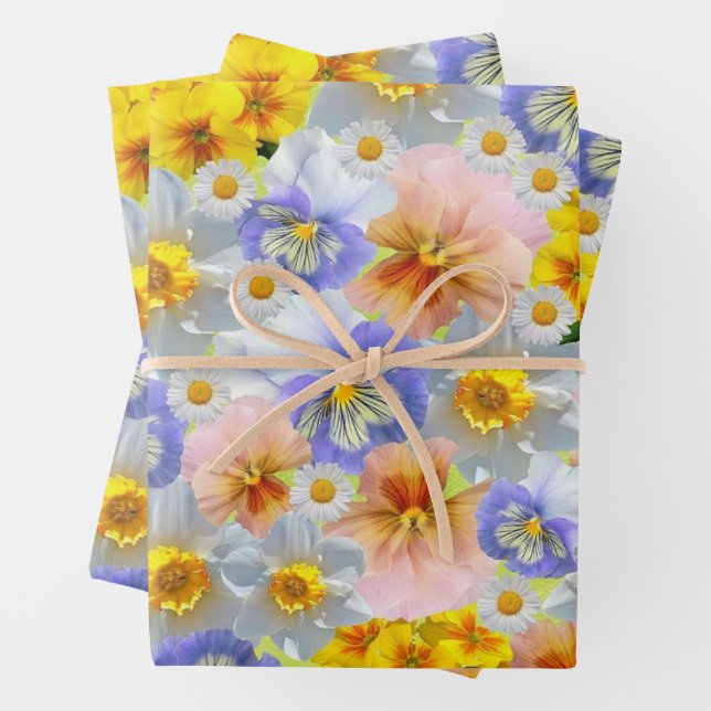 Mixed Colour Pansy Flowers and Daffodils Wrapping Paper Sheet (In situ)