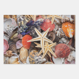 Mixed Colourful Seashells and Starfish  Wrapping Paper Sheet