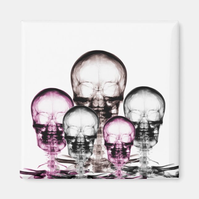 Mixed Colours X-Ray Vision Skeletons Skulls Magnet (Front)