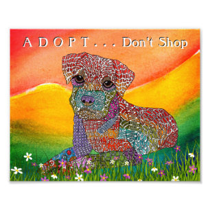 Mixed Dog Breed Adopt Don't  Photo Print