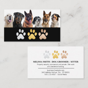 Mixed Dog Breeds   Animal Care Business Card