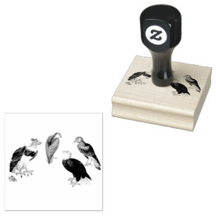 Mixed Eagles Birds Scrapbooking Rubber Stamp