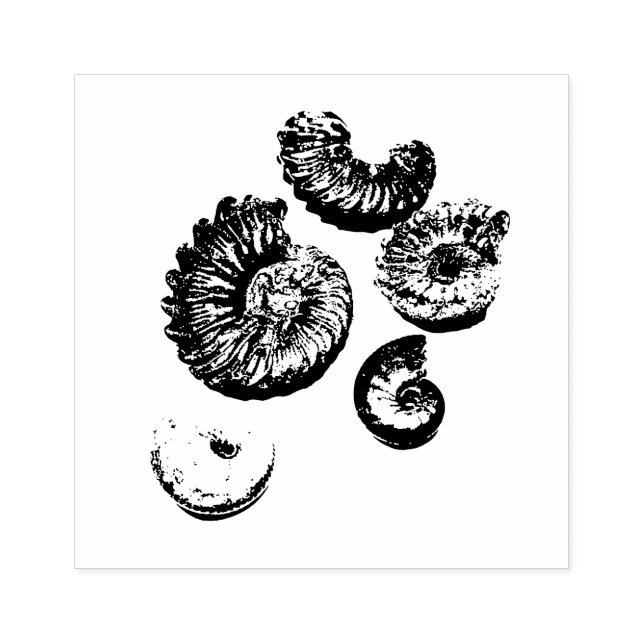 Mixed fossils rubber stamp (Imprint)