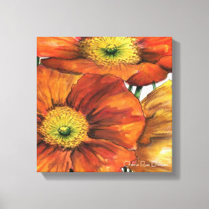 Mixed Iceland Poppies Canvas Print