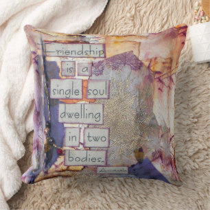 Mixed Media Quote Friendship Is A Single Soul Cushion