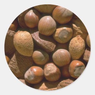 Mixed nuts in shells classic round sticker