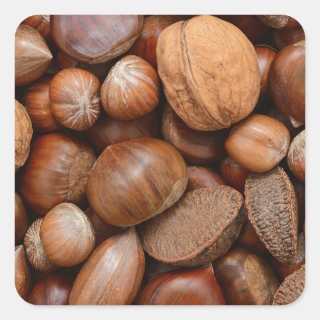 Mixed nuts square sticker (Front)