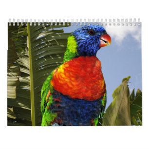 Mixed Parrots Calendar