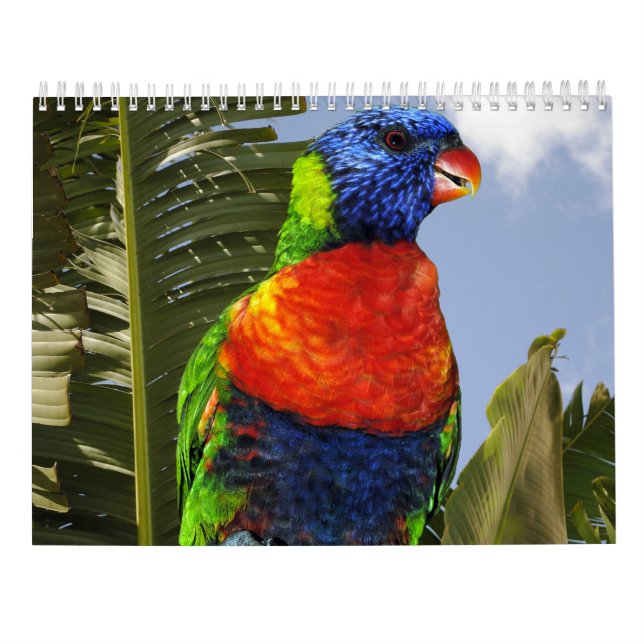 Mixed Parrots Calendar (Back)