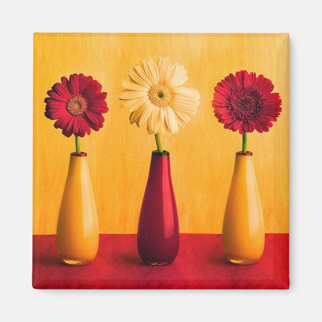 Mixed Red Yellow Gerbera Daisies Orange Background Magnet (Front)