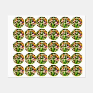 Mixed salad