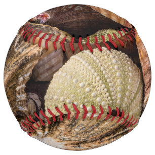 Mixed Sea Shells Baseball Softball