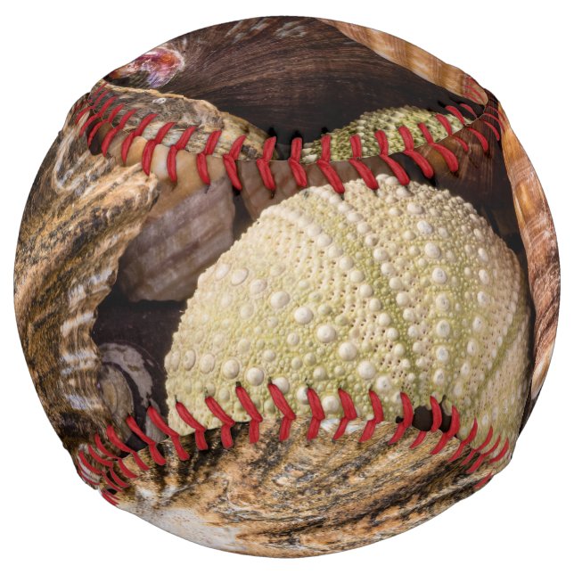 Mixed Sea Shells Baseball Softball (Front)