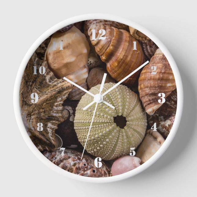 Mixed Sea Shells Clock (Front)