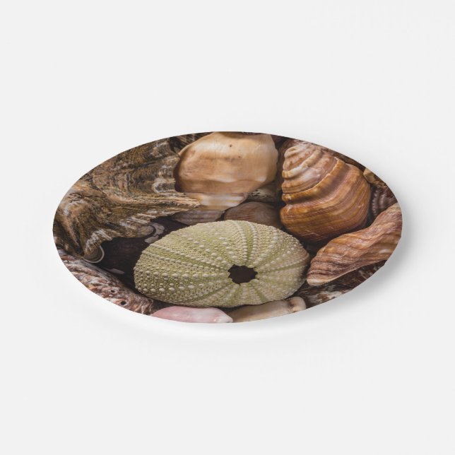 Mixed Sea Shells Paper Plates (Angled)