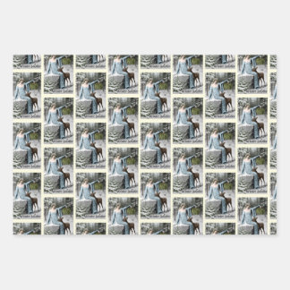 Mixed Set Wrapping Paper Sheet