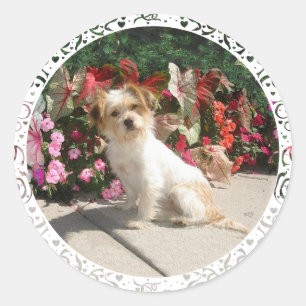 Mixed Terrier Breed Rescue Doggie Classic Round Sticker