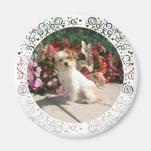 Mixed Terrier Breed Rescue Doggie Magnet
