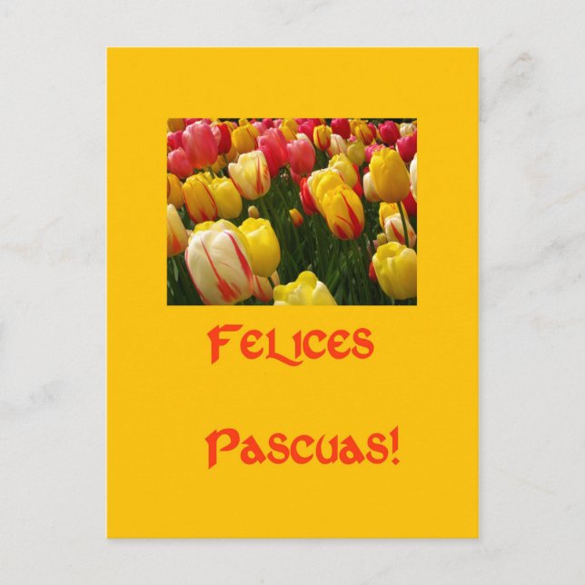 mixed tulips yellow easter greeting in spanish holiday postcard (Front)