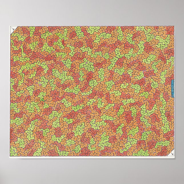 Mixture Maze Poster (Front)