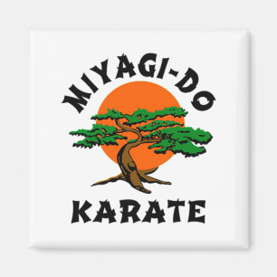 Miyagi Do Karate 21 T Shirt Magnet