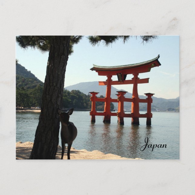 miyajima deer postcard (Front)