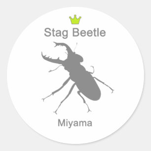 Miyama Stag Beetle g5 Classic Round Sticker