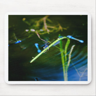 MK2A8136_v01 Mouse Pad