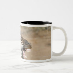 Mkuze Game Reserve, Kwa-Zulu Natal Province, Two-Tone Coffee Mug