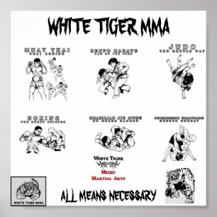 mma all arts2, Logo1_copy-224x172, tiger mma, u... Poster