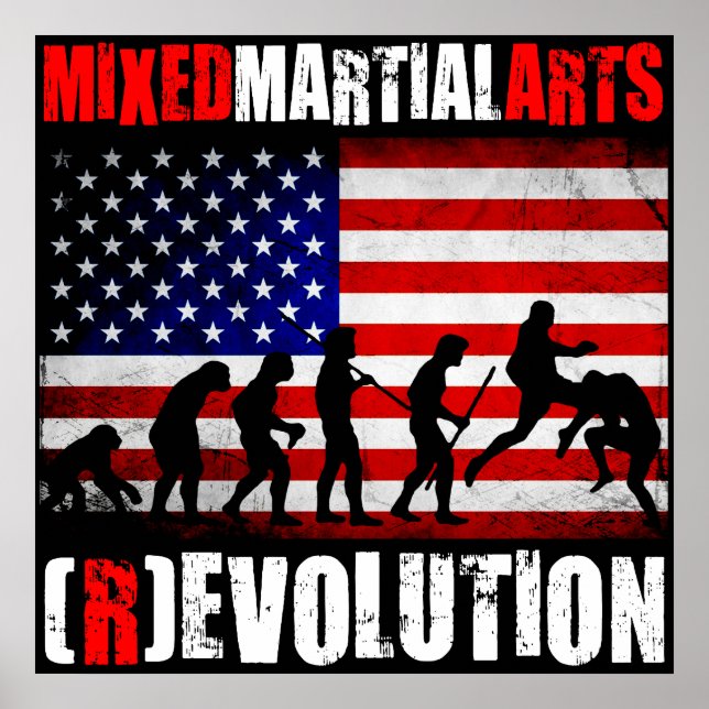 MMA - Evolution (Revolution) Chart Flag Poster (Front)