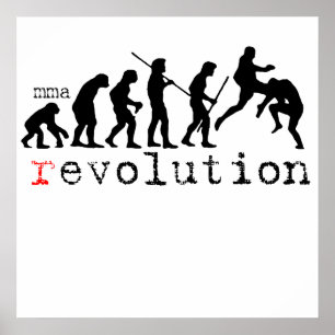 mma (r)evolution chart Poster Print