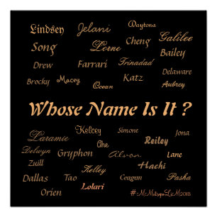 MMetropolim "Whose Name Is It?   POSTER   20x20