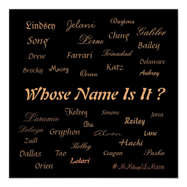 MMetropolim "Whose Name Is It?   POSTER   20x20 (Front)