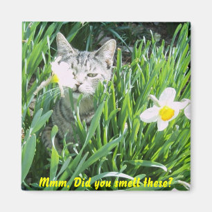 Mmm, Did you smell these? Magnet