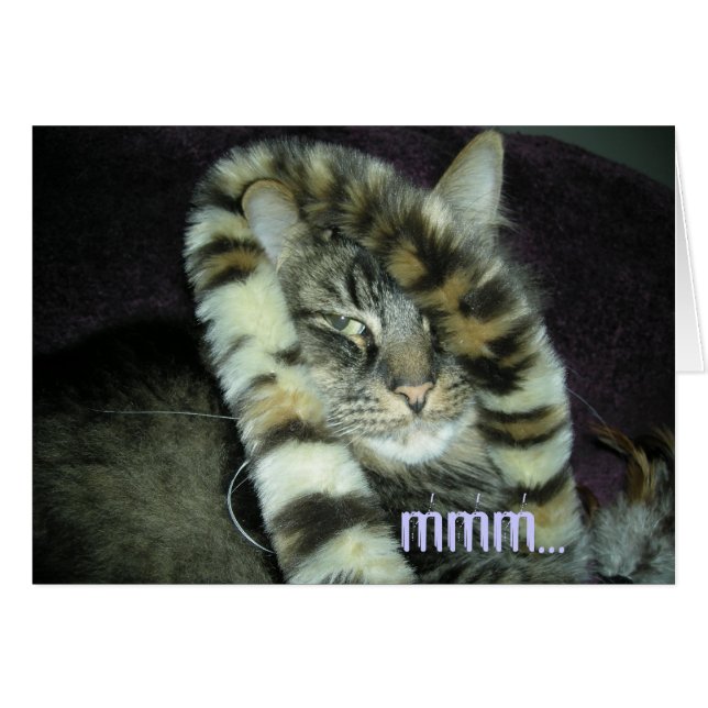 mmm...does this make me look fat?!# (Front Horizontal)