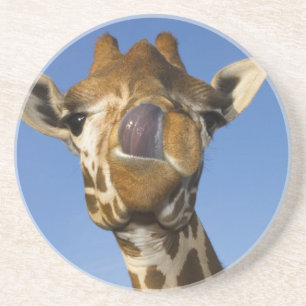 Mmmm Mmmmm Good Coaster