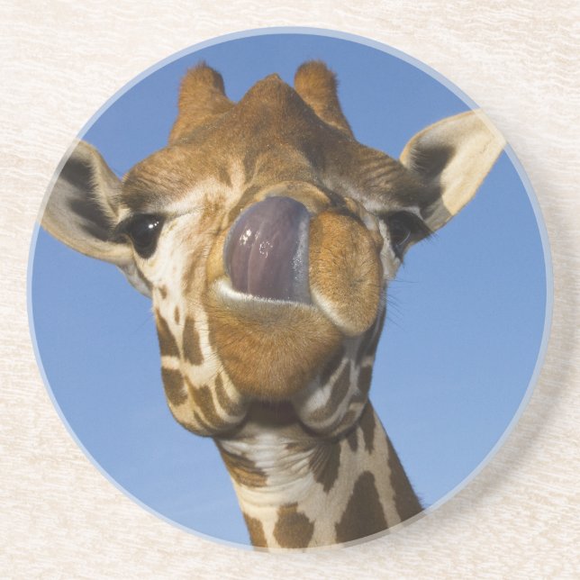 Mmmm Mmmmm Good Coaster (Front)