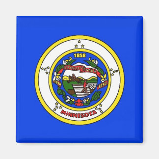 MN STATE FLAG MAGNET