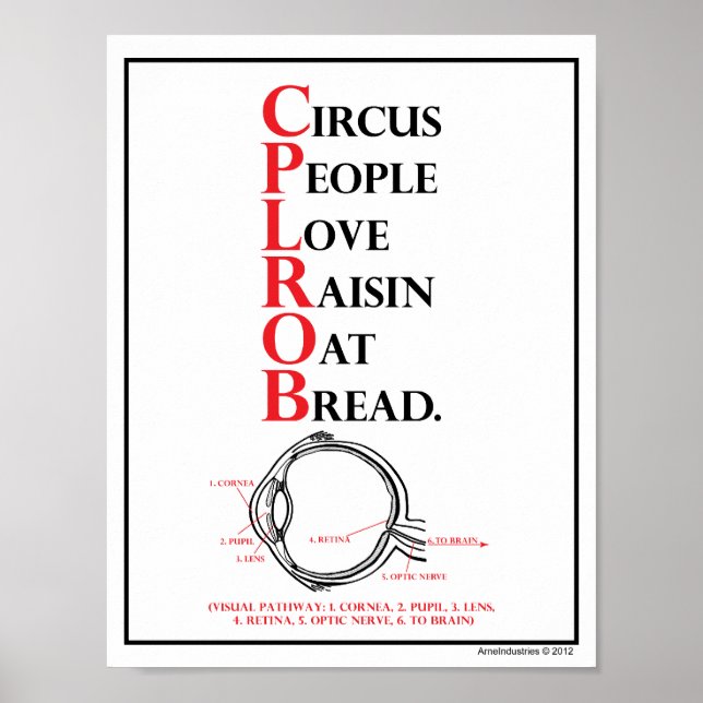 Mnemonic: Circus People Love = Visual Path Poster (Front)