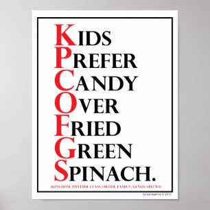 Mnemonic: Kids Prefer Candy - Poster