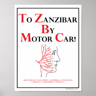 Mnemonic: To Zanzibar By Motor Car Poster
