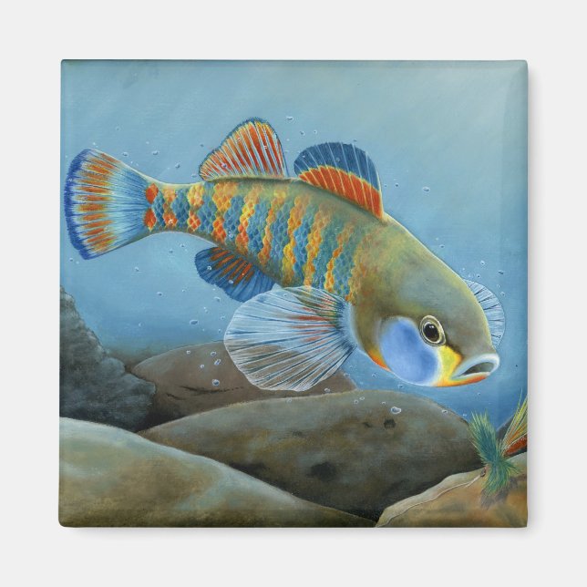 MO 2008 Jenkins 1721 high064 Magnet (Front)