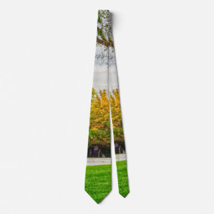 MO Capitol Autumn Grounds Neck Tie