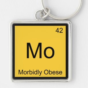 Mo - Morbidly Obese Funny Chemistry Element Tee Key Ring