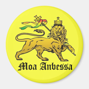 Moa Anbessa Magnet