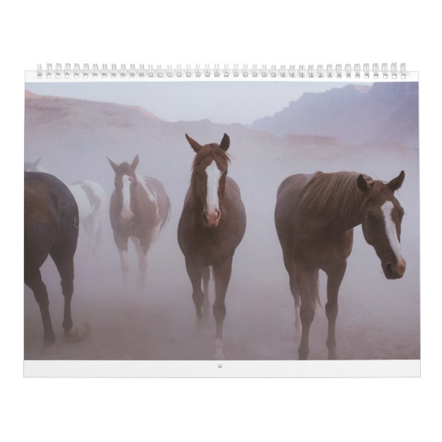Moab Horses Calendar (Cover)