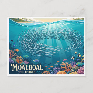 Moalboal Sardine Run Philippines Postcard