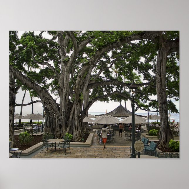 Moana Surfrider Banyan Court - Waikiki Beach Poster (Front)